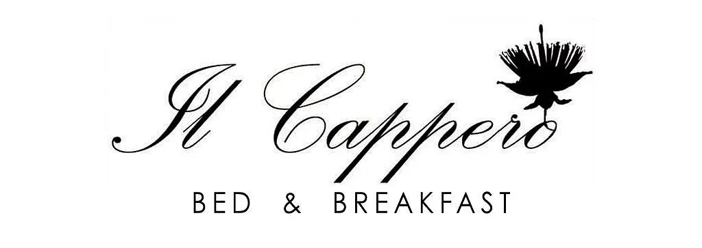 Bed And Breakfast Il Cappero location